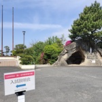 イグザム幼児教室撮影写真