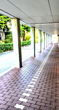 箕面自由学園小学校写真