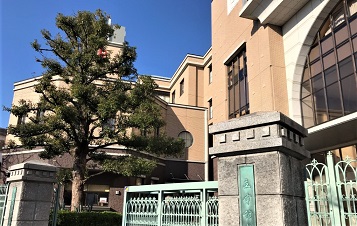イグザム幼児教室撮影写真