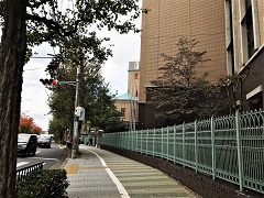 イグザム幼児教室撮影写真