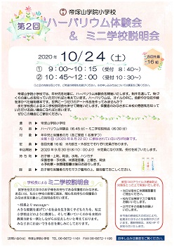 イグザム幼児教室撮影写真